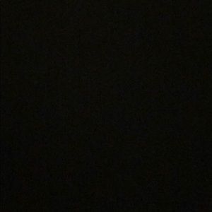 Meet your Posher, Cheyenne